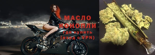 стаф Семилуки