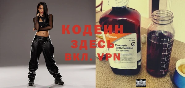 твердый Бородино