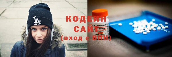 хмурый Богородицк