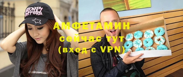 твердый Бородино