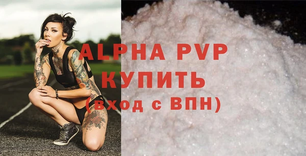 твердый Бородино
