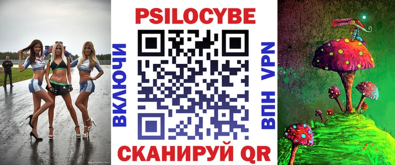 Галлюциногенные грибы Psilocybe  Котовск 